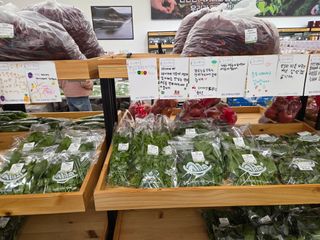 김윤회님의 기타작물 · 영농일지 작성글 사진