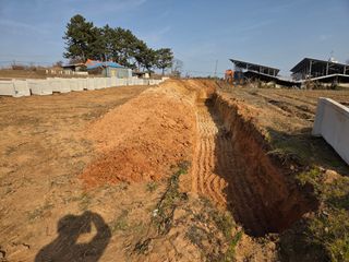 황미순님의 기타작물 · 영농일지 작성글 사진