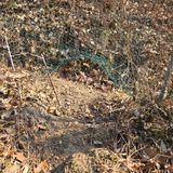 팜모닝 복숭아·영농일지 게시글 이미지