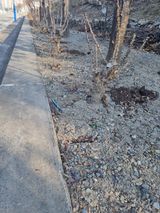 김용대님의 작성글 사진