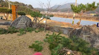 가야산아래촌농님의 기타작물 · 영농일지 작성글 사진