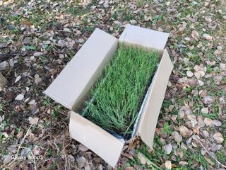 이효순님의 파 · 영농일지 작성글 사진