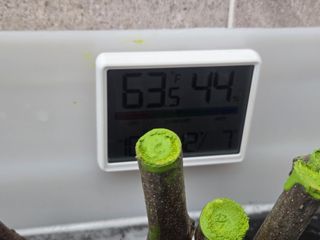 박종민님의 기타작물 · 영농일지 작성글 사진