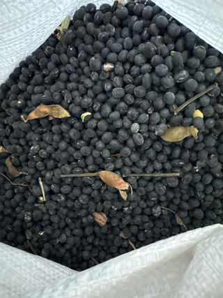 오작교농장님의 콩 · 영농일지 작성글 사진