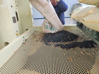 황미순님의 콩 · 영농일지 작성글 사진