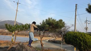 가야산아래촌농님의 기타작물 · 영농일지 작성글 사진