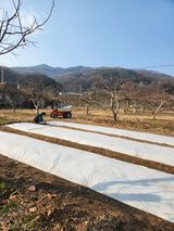 팜모닝 감·영농일지 게시글 이미지