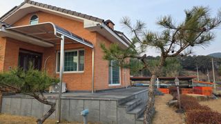 가야산아래촌농님의 기타작물 · 영농일지 작성글 사진