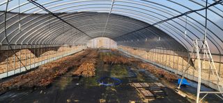 김제일님의 콩 · 영농일지 작성글 사진