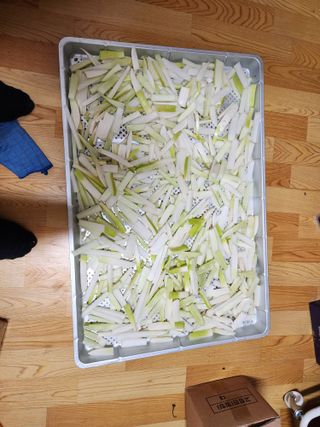 조정권님의 기타작물 · 영농일지 작성글 사진