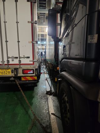 표고버섯3641님의 복숭아 · 영농일지 작성글 사진