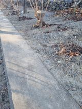 김용대님의 작성글 사진