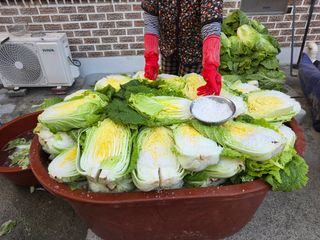 앵매도리님의 기타작물 · 영농일지 작성글 사진