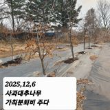 팜모닝 기타작물·영농일지 게시글 이미지