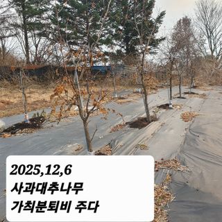 시민농장님의 기타작물 · 영농일지 작성글 사진