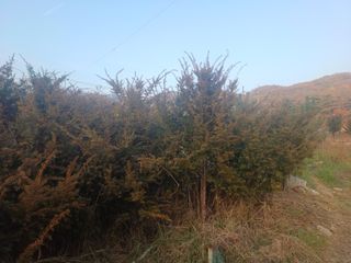 正覺님의 기타작물 · 영농일지 작성글 사진