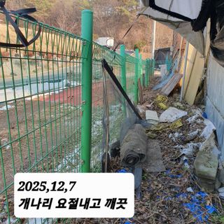 시민농장님의 기타작물 · 영농일지 작성글 사진