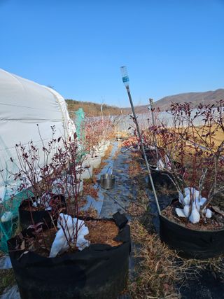 김재현님의 작성글 사진
