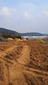 팜모닝 기타작물·영농일지 게시글 이미지