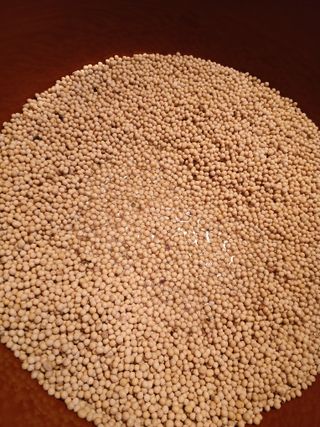 한상숙님의 콩 · 영농일지 작성글 사진