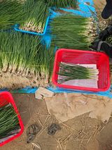 수기님의 작성글 사진