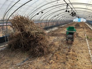 최우영님의 들깨 · 영농일지 작성글 사진