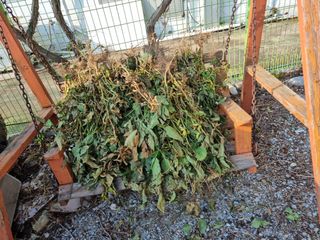 박병철님의 콩 · 영농일지 작성글 사진