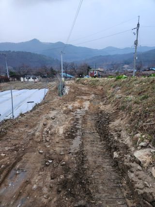 주말농장님의 기타작물 · 영농일지 작성글 사진