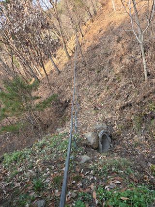 무주설천면 반딧팝님의 기타작물 · 영농일지 작성글 사진