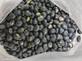 박병철님의 콩 · 영농일지 작성글 사진