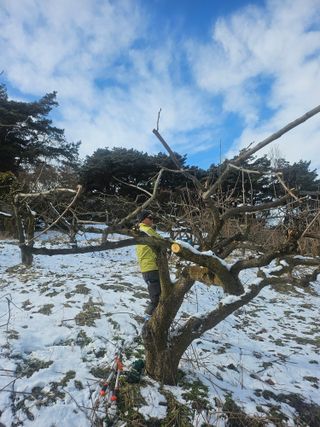 전승호님의 기타작물 · 영농일지 작성글 사진