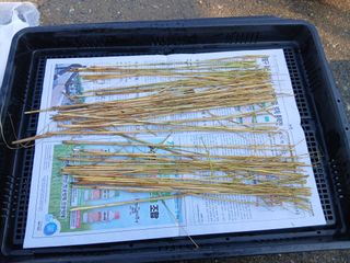 한상숙님의 콩 · 영농일지 작성글 사진