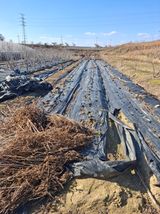 팜모닝 기타작물·영농일지 게시글 이미지