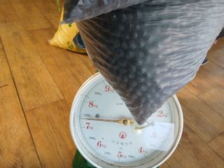 한상숙님의 콩 · 영농일지 작성글 사진