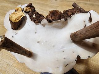 흰돌농원님의 기타작물 · 영농일지 작성글 사진