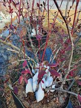 김재현님의 작성글 사진