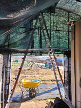 강동신님의 기타작물 · 영농일지 작성글 사진