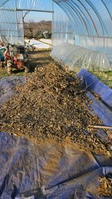 팜모닝 콩·영농일지 게시글 이미지