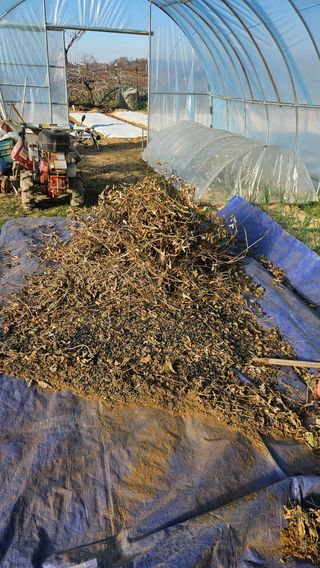 이순정님의 콩 · 영농일지 작성글 사진