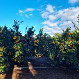 은동이님의 작성글 사진