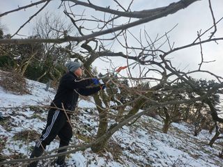 전승호님의 기타작물 · 영농일지 작성글 사진
