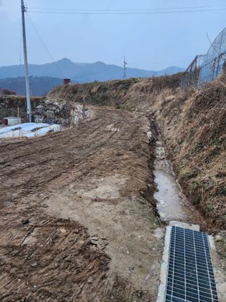 주말농장님의 기타작물 · 영농일지 작성글 사진