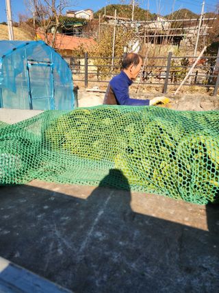 김영숙님의 배추 · 영농일지 작성글 사진