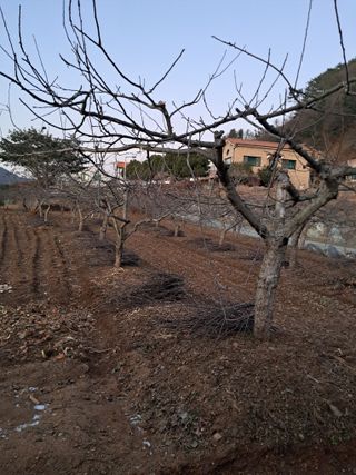 구강회님의 기타작물 · 영농일지 작성글 사진