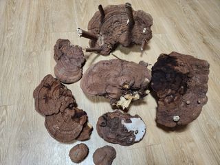 흰돌농원님의 기타작물 · 영농일지 작성글 사진