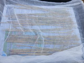 한상숙님의 콩 · 영농일지 작성글 사진