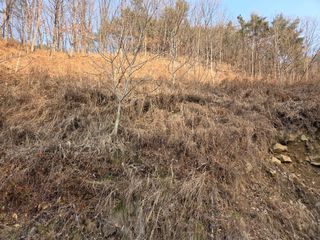 무주설천면 반딧팝님의 기타작물 · 영농일지 작성글 사진