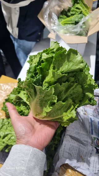 정영훈님의 기타작물 · 영농일지 작성글 사진