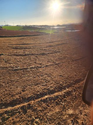 김저팔계님의 배추 · 영농일지 작성글 사진