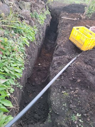 개인교수님의 기타작물 · 영농일지 작성글 사진